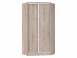 Шкаф-купе Хит-У-23-4-11 с делителями