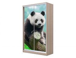 Шкаф-купе Хит 23-4-17-77 фото 29