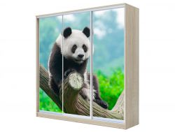 Шкаф-купе Хит 23-20-777 фото 29