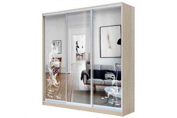 Шкаф-купе Хит 23-18-656 с рисунком 01