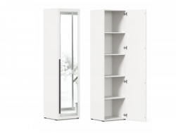 Шкаф одностворчатый с зеркалом Тип 1 Мотокросс ЛД.535.100.000